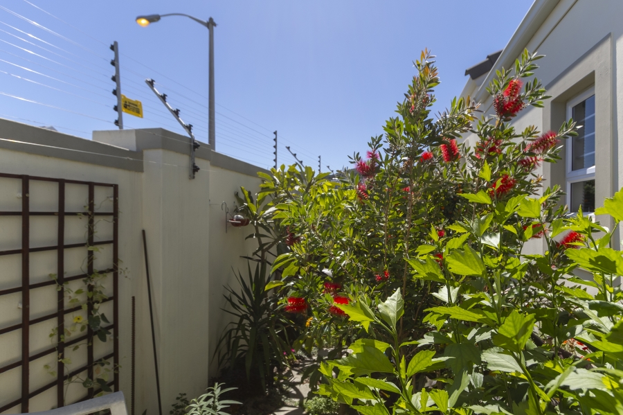 3 Bedroom Property for Sale in Fernwood Western Cape